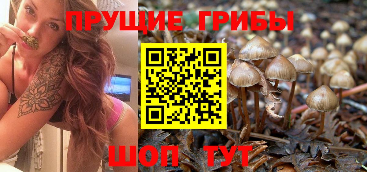 NBOMe  ГАШ  Смоленск  Мефедрон   Экстази  Вход с VPN  Марихуана  Cocaine 