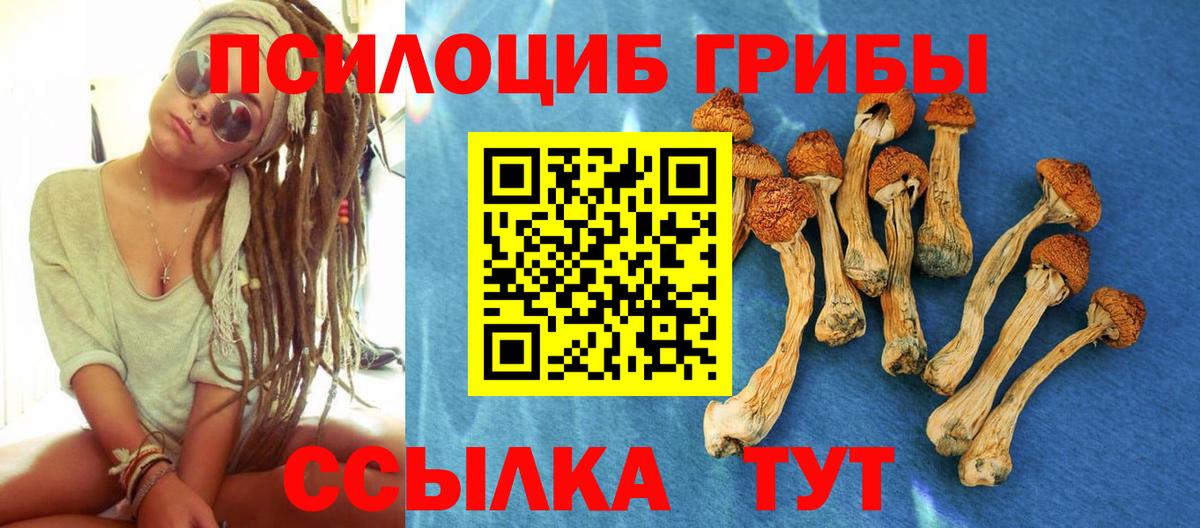 Псилоцибиновые грибы MAGIC MUSHROOMS  Вход с VPN  Смоленск 